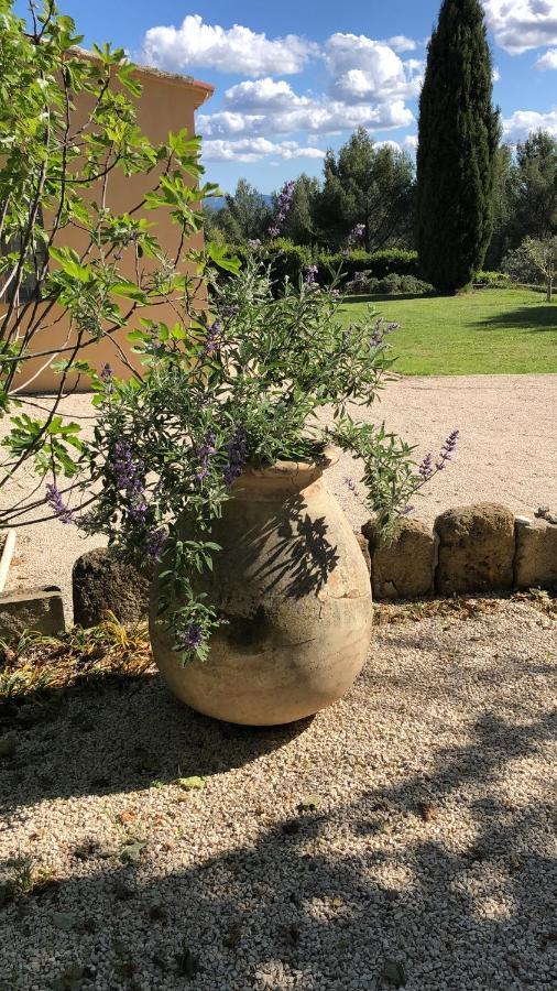 Le Mas Des Pignes -Adults Only Aix-en-Provence Buitenkant foto